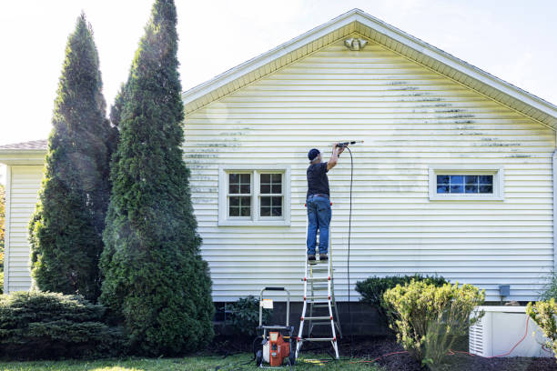 Best Solar Panel Cleaning  in Mckinleyville, CA
